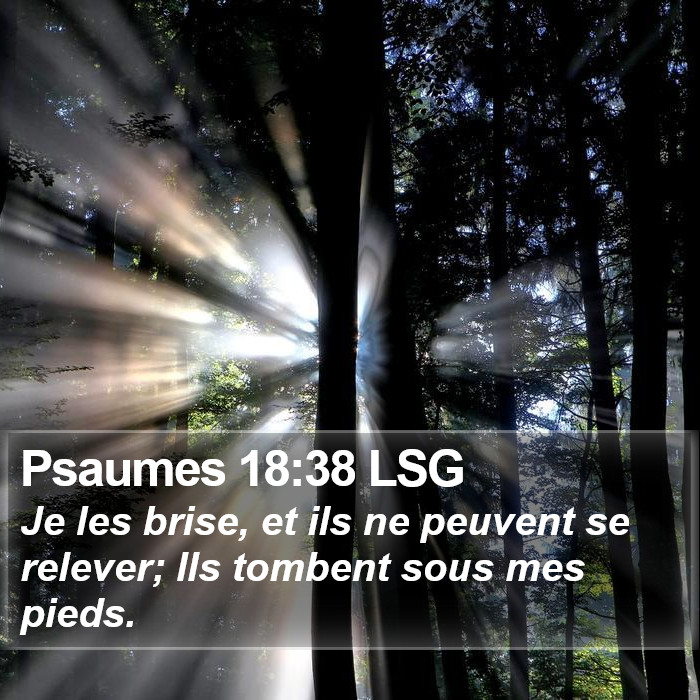 Psaumes 18:38 LSG Bible Study