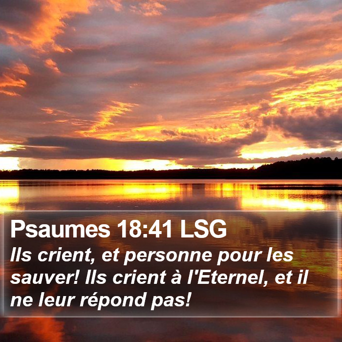 Psaumes 18:41 LSG Bible Study