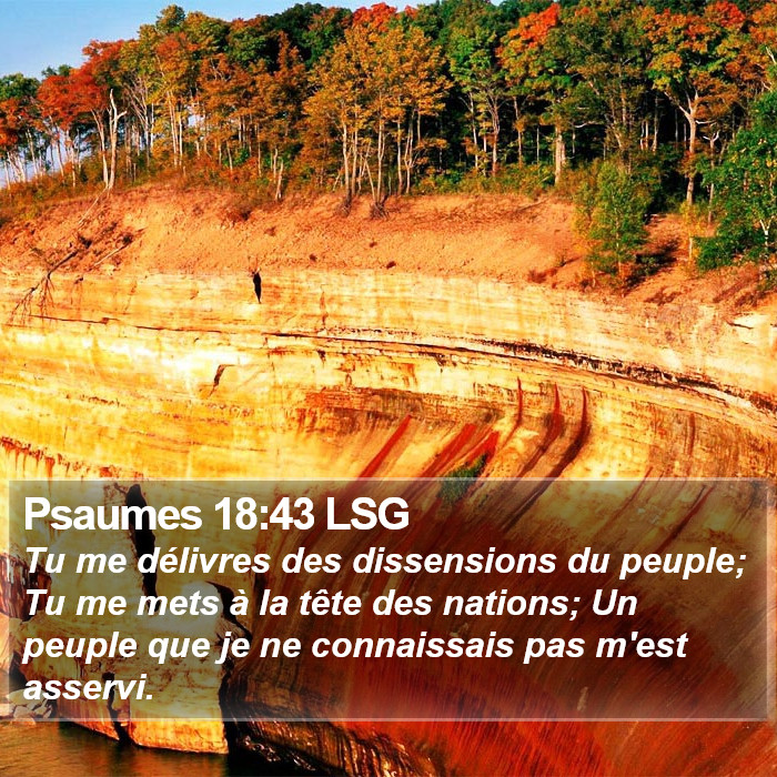 Psaumes 18:43 LSG Bible Study
