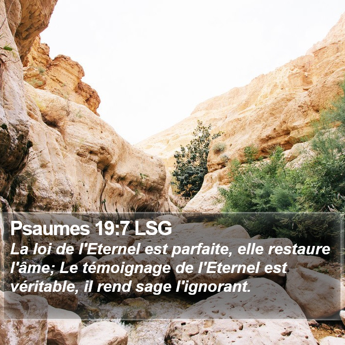 Psaumes 19:7 LSG Bible Study