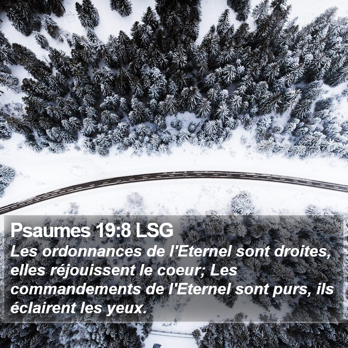 Psaumes 19:8 LSG Bible Study
