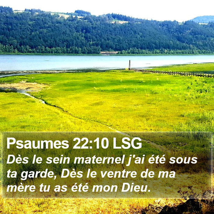 Psaumes 22:10 LSG Bible Study