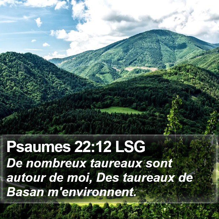 Psaumes 22:12 LSG Bible Study
