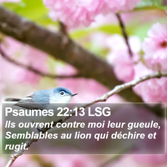 Psaumes 22:13 LSG Bible Study