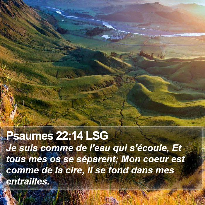 Psaumes 22:14 LSG Bible Study