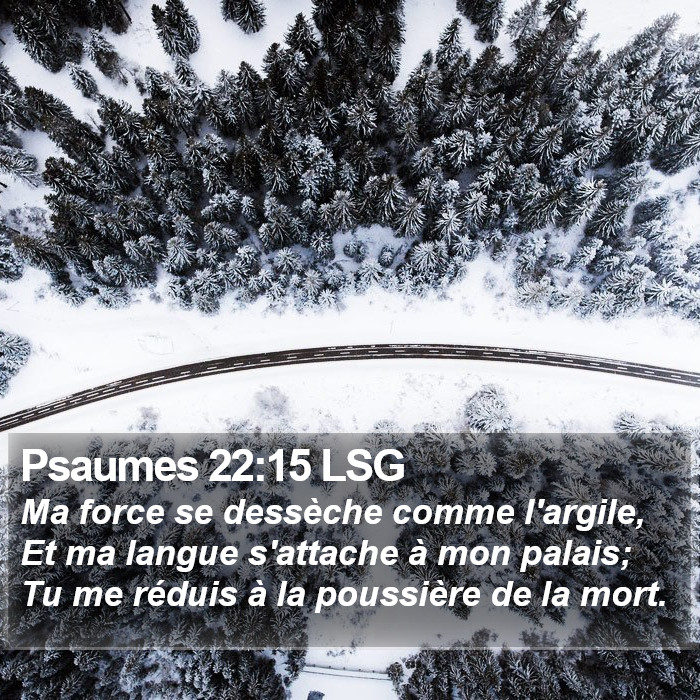 Psaumes 22:15 LSG Bible Study