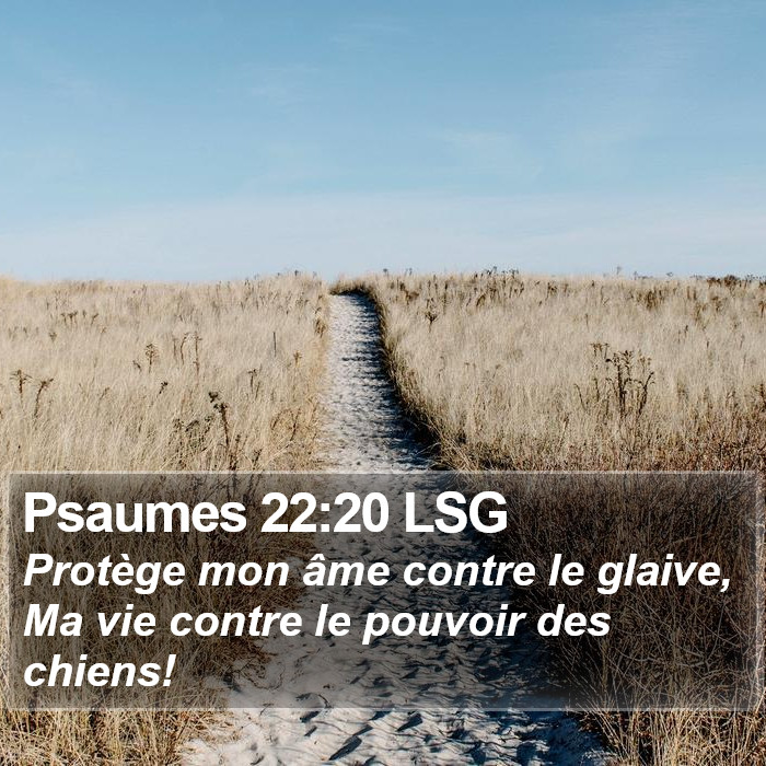 Psaumes 22:20 LSG Bible Study