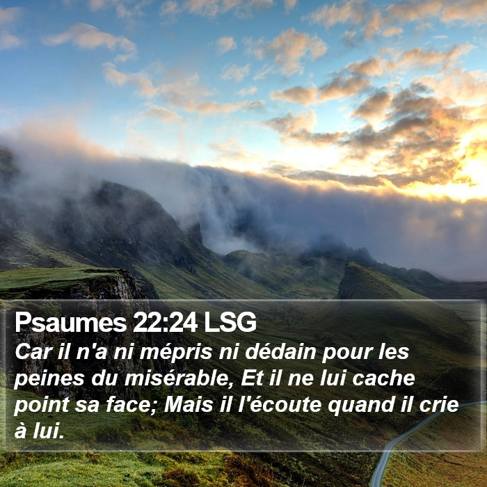 Psaumes 22:24 LSG Bible Study