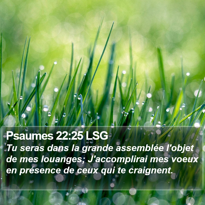 Psaumes 22:25 LSG Bible Study