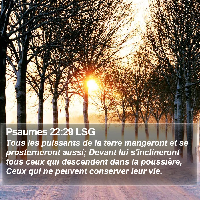 Psaumes 22:29 LSG Bible Study