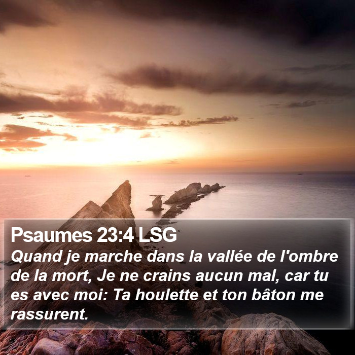 Psaumes 23:4 LSG Bible Study