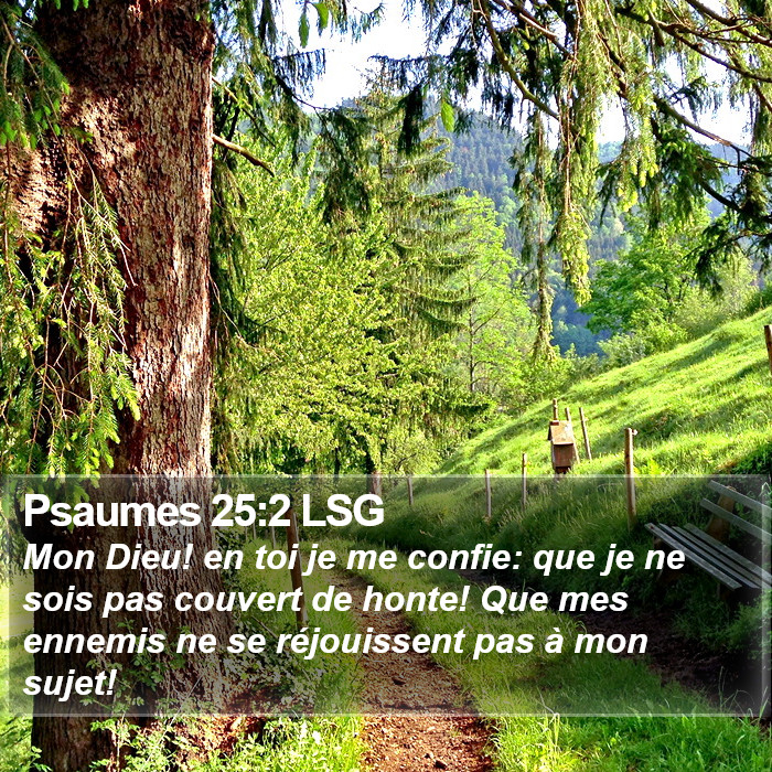 Psaumes 25:2 LSG Bible Study