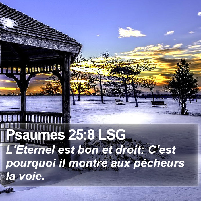 Psaumes 25:8 LSG Bible Study