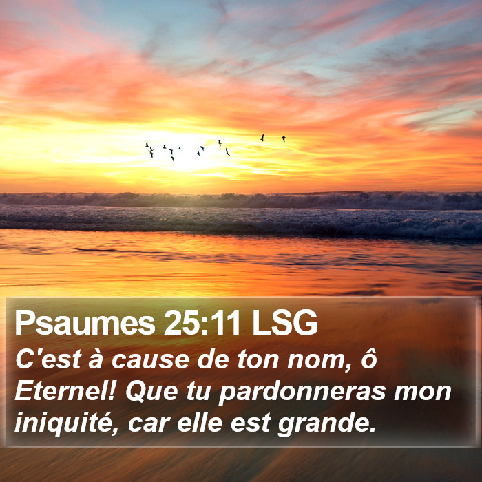 Psaumes 25:11 LSG Bible Study