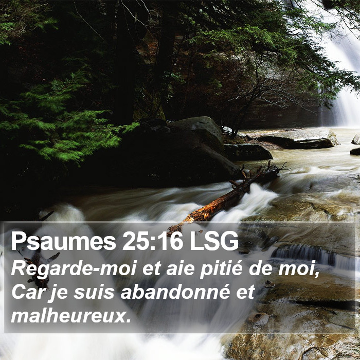 Psaumes 25:16 LSG Bible Study