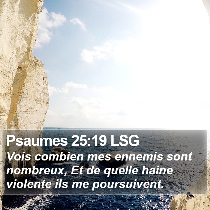 Psaumes 25:19 LSG Bible Study