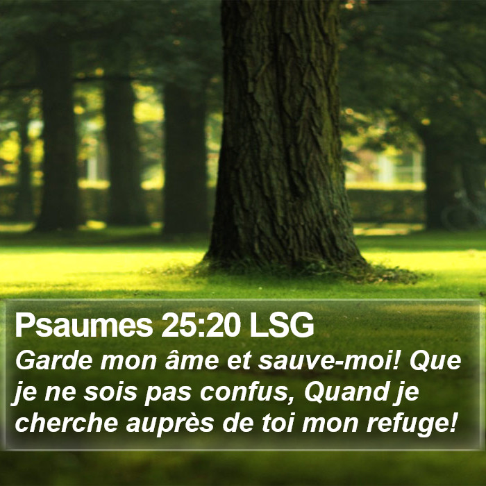 Psaumes 25:20 LSG Bible Study