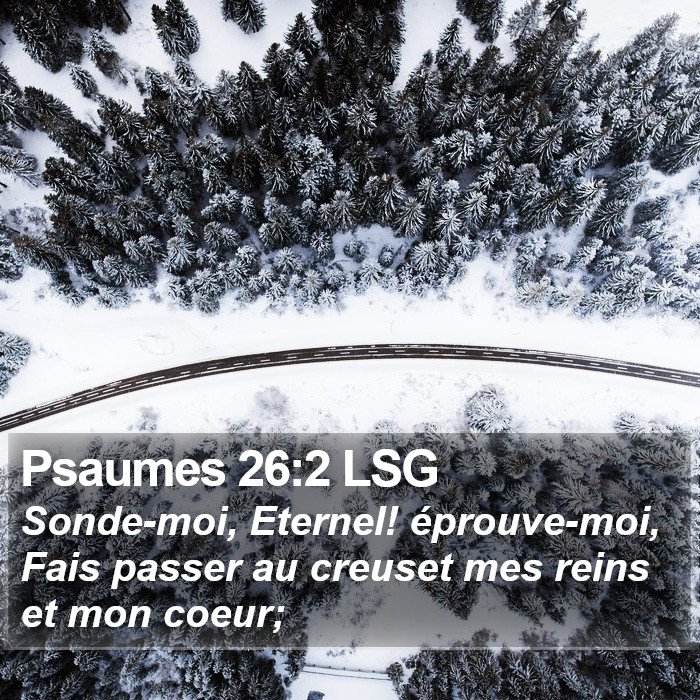 Psaumes 26:2 LSG Bible Study