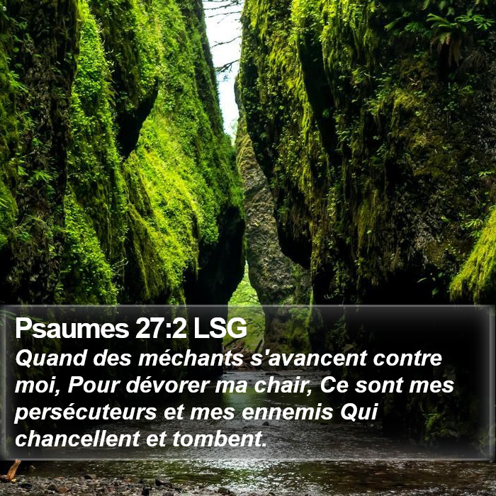 Psaumes 27:2 LSG Bible Study