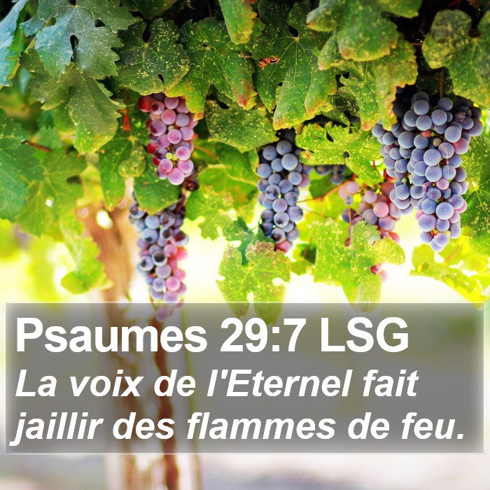 Psaumes 29:7 LSG Bible Study