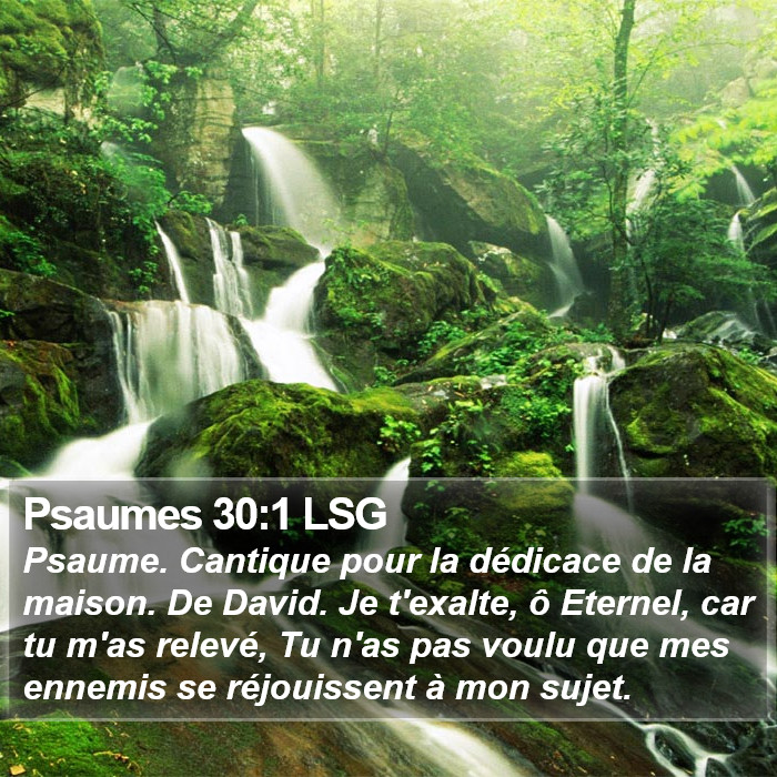 Psaumes 30:1 LSG Bible Study