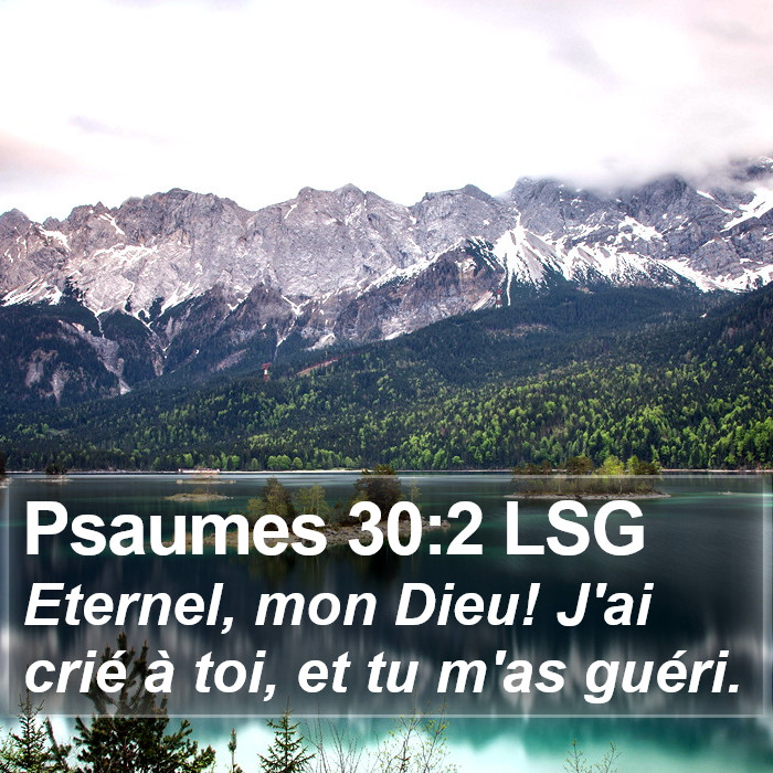 Psaumes 30:2 LSG Bible Study