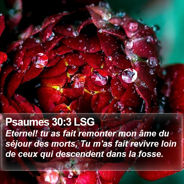 Psaumes 30:3 LSG Bible Study