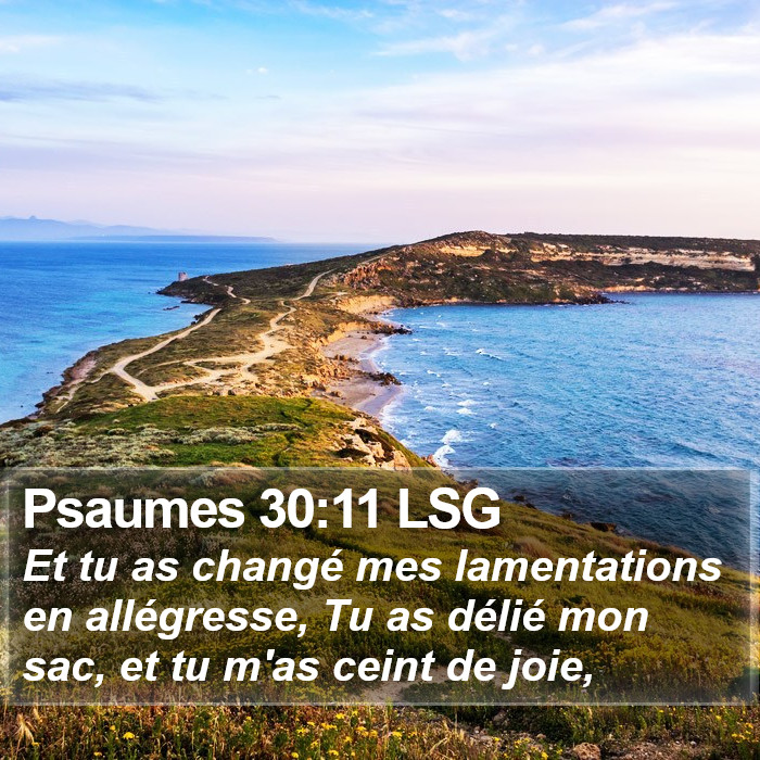 Psaumes 30:11 LSG Bible Study