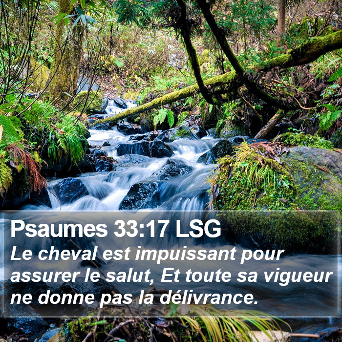 Psaumes 33:17 LSG Bible Study