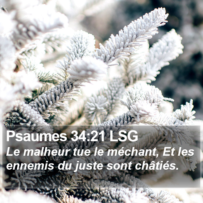 Psaumes 34:21 LSG Bible Study