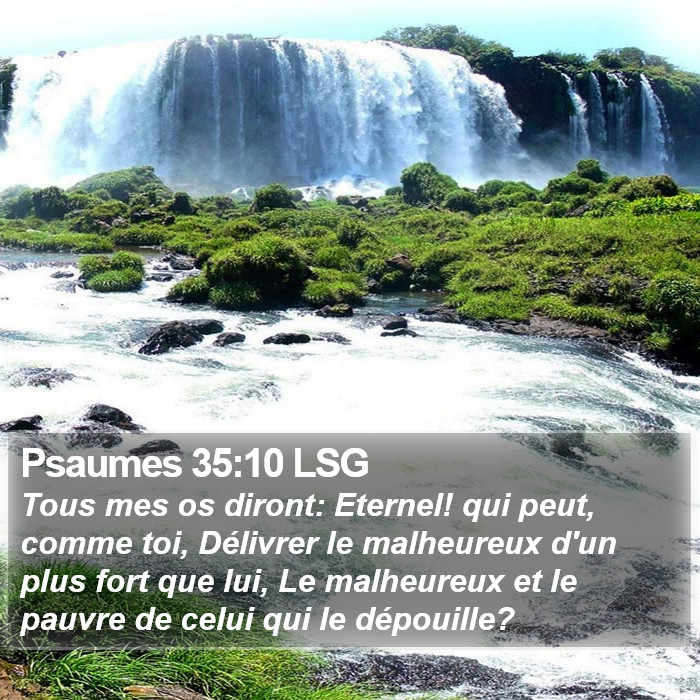 Psaumes 35:10 LSG Bible Study