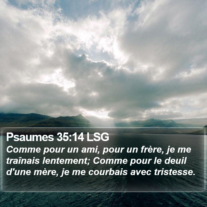 Psaumes 35:14 LSG Bible Study