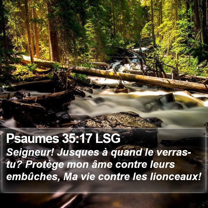 Psaumes 35:17 LSG Bible Study