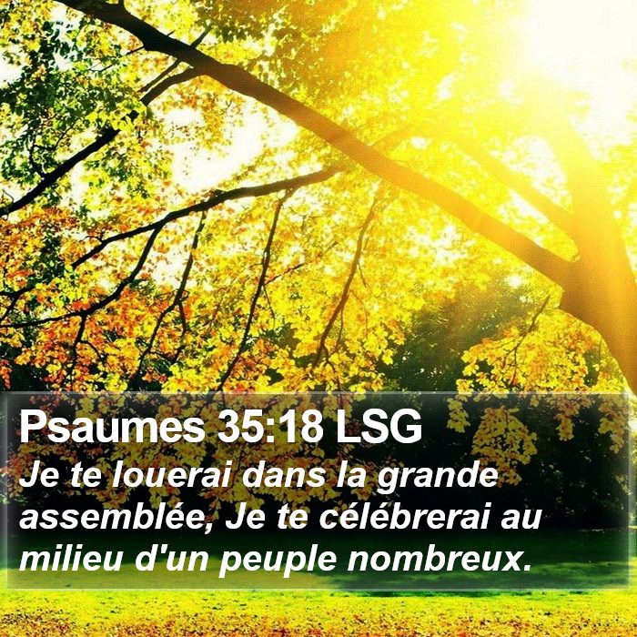 Psaumes 35:18 LSG Bible Study