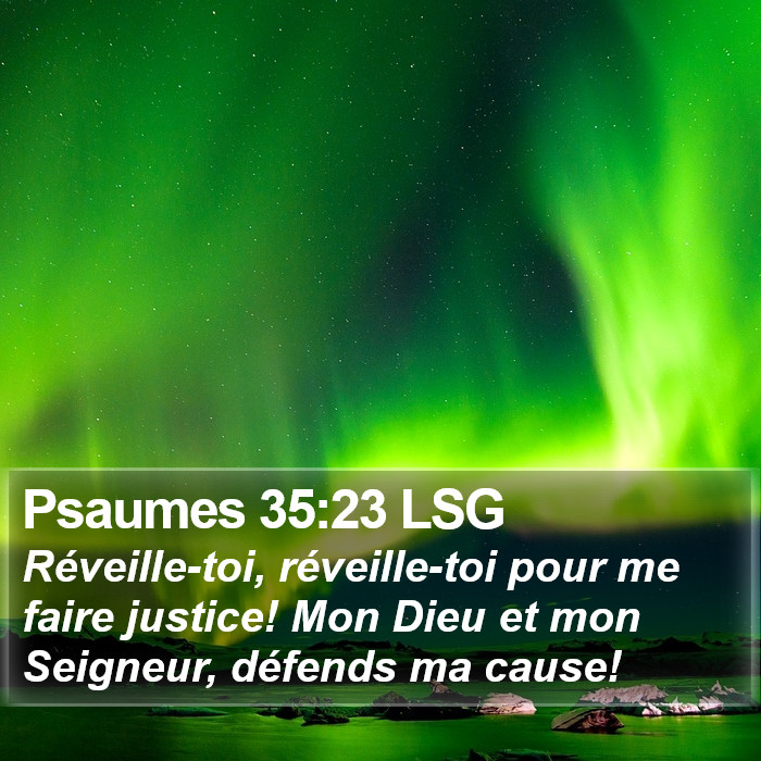 Psaumes 35:23 LSG Bible Study