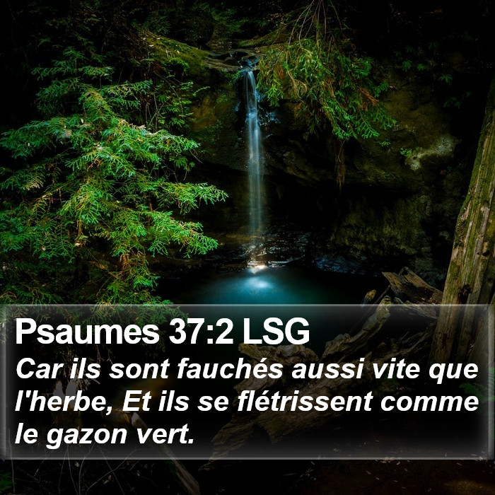 Psaumes 37:2 LSG Bible Study