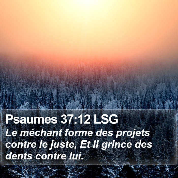 Psaumes 37:12 LSG Bible Study