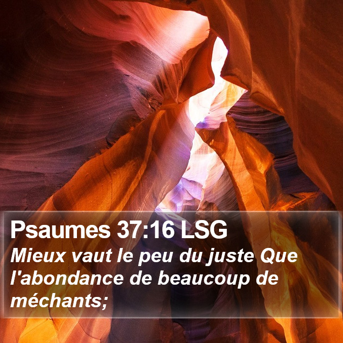 Psaumes 37:16 LSG Bible Study