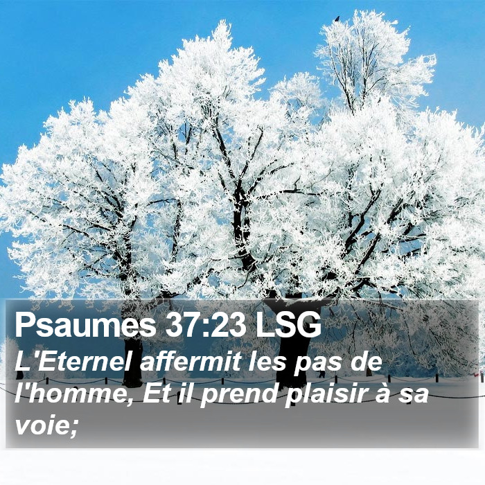 Psaumes 37:23 LSG Bible Study