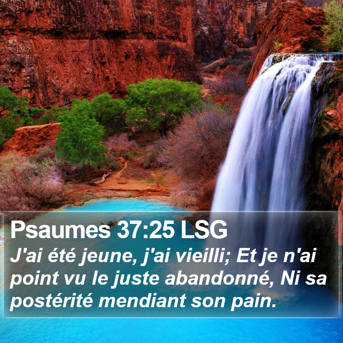 Psaumes 37:25 LSG Bible Study