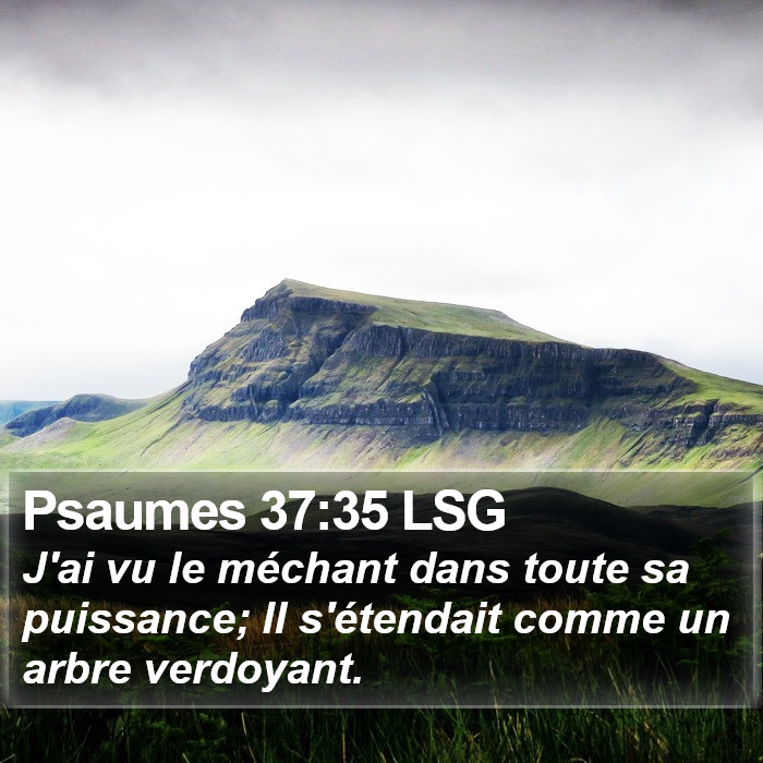 Psaumes 37:35 LSG Bible Study