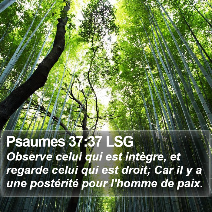 Psaumes 37:37 LSG Bible Study