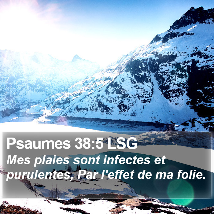 Psaumes 38:5 LSG Bible Study