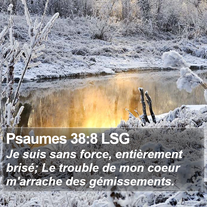 Psaumes 38:8 LSG Bible Study