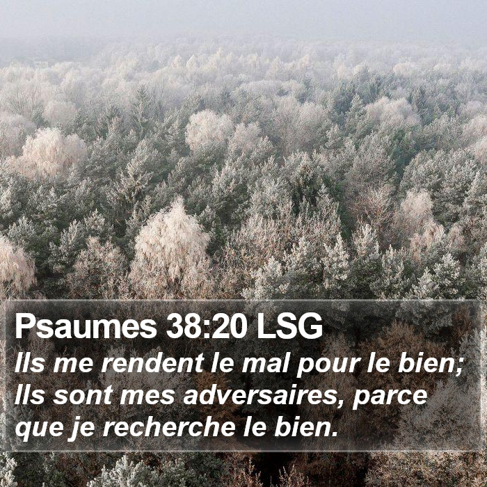 Psaumes 38:20 LSG Bible Study