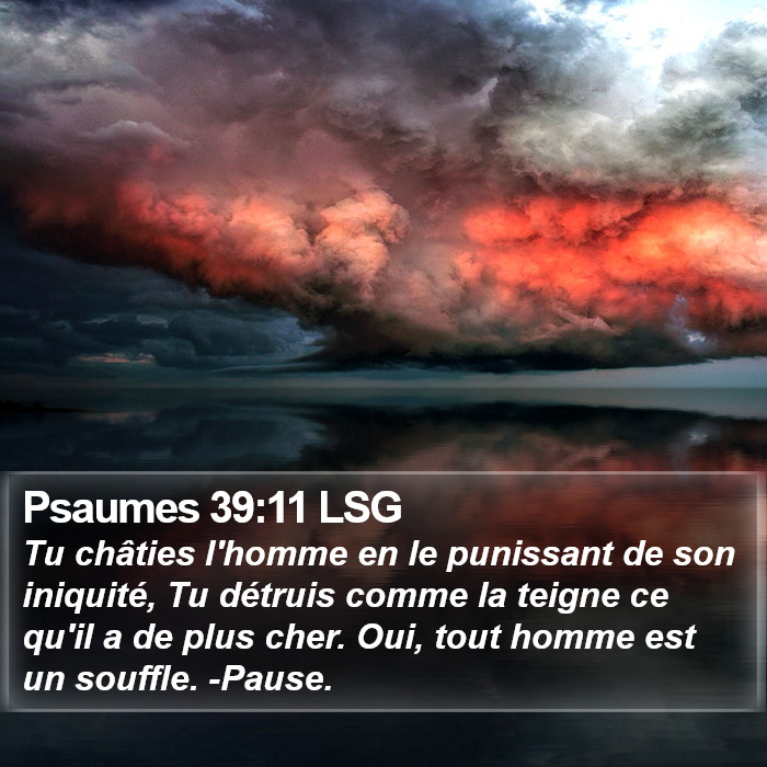 Psaumes 39:11 LSG Bible Study