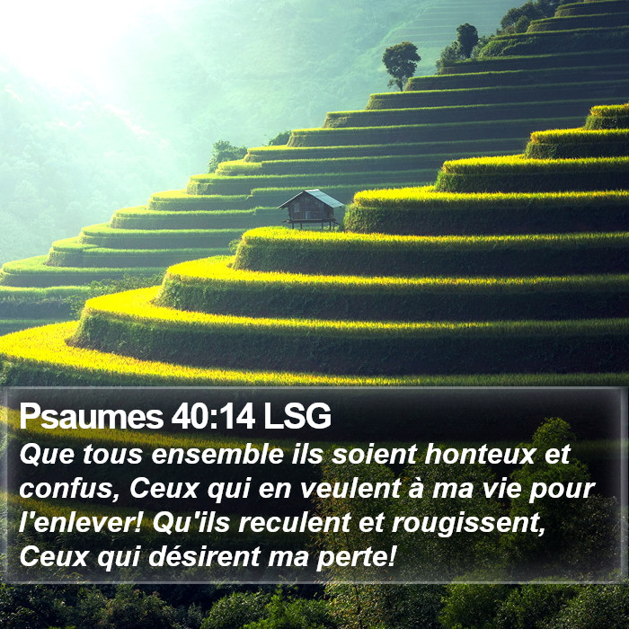 Psaumes 40:14 LSG Bible Study