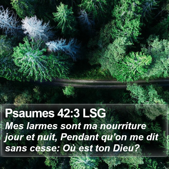 Psaumes 42:3 LSG Bible Study