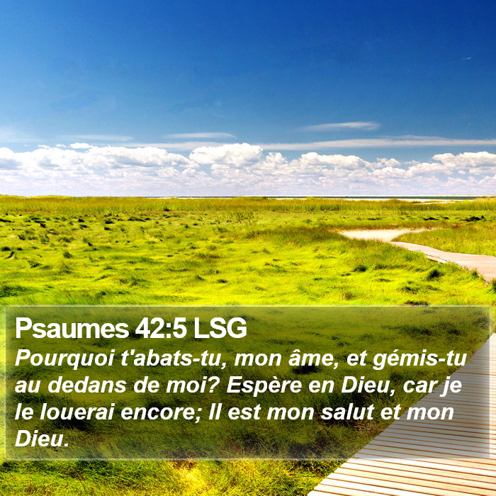 Psaumes 42:5 LSG Bible Study