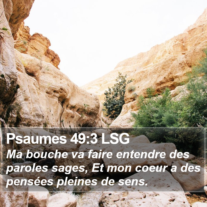 Psaumes 49:3 LSG Bible Study